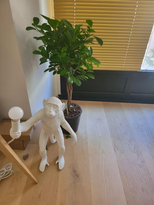 Appartement Luxe "La Providence" , Plein Centre Vichy Exterior foto